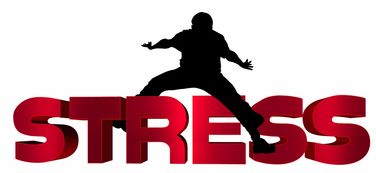 米兰官网-NBA球员心理压力识别及干预技术研究，nba球员性格问题