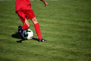 ac米兰中文官网-意甲青训体系中融入情绪调节训练的效果评估，意甲青训体系中融入情绪调节训练的效果评估